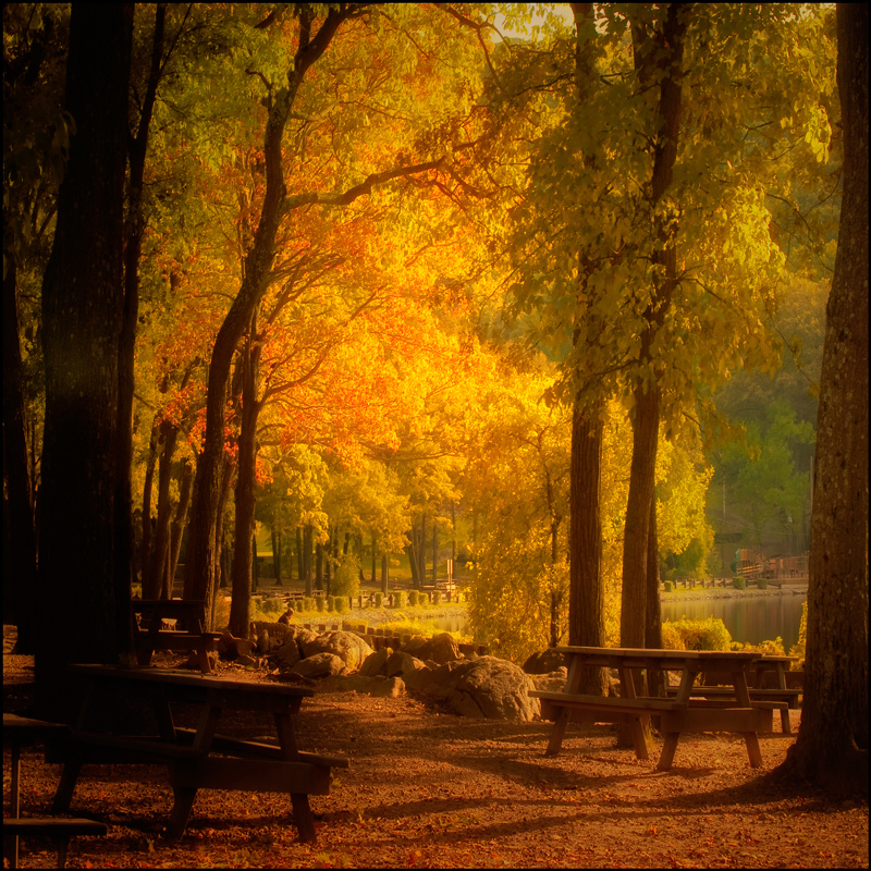 Outono paraguaio Fall is coming